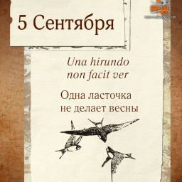 Сегодня воскресенье, 5 сентября. 5