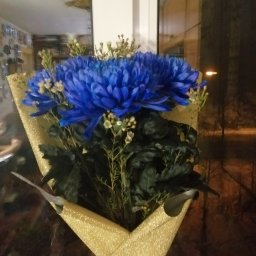 Юлия Ю.